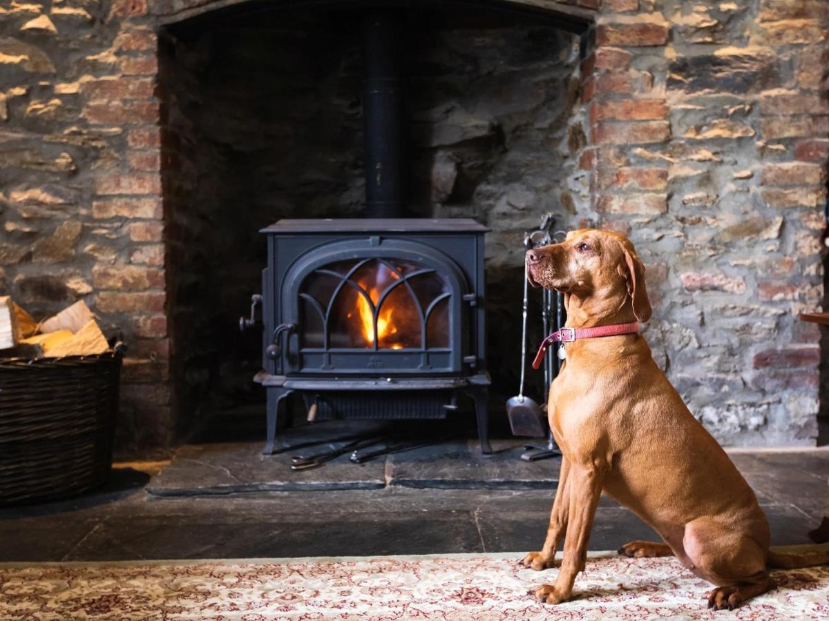 Pengelly Farmhouse B&B Truro Bagian luar foto